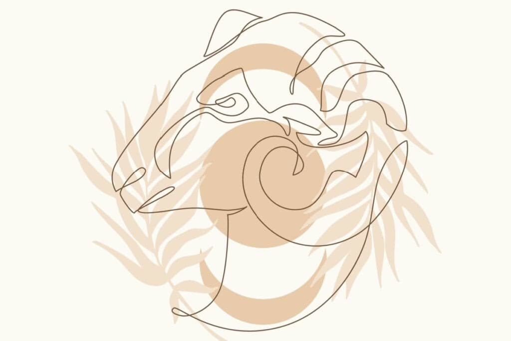 Horóscopo semanal: previsão dos signos de 23 a 29 de junho de 2025