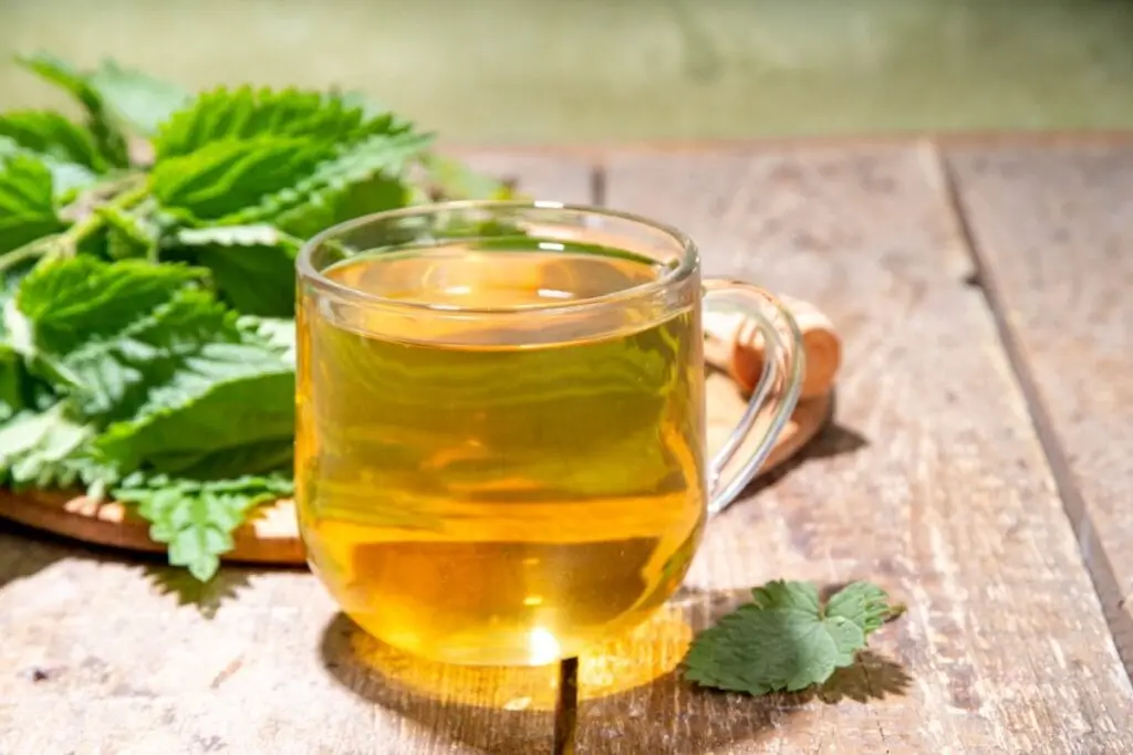 7 chás para ajudar a eliminar gordura abdominal