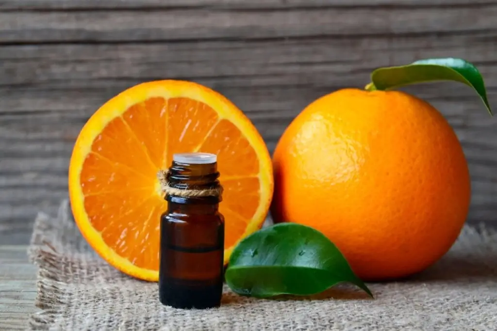 5 dicas para superar o divórcio com apoio do Feng Shui