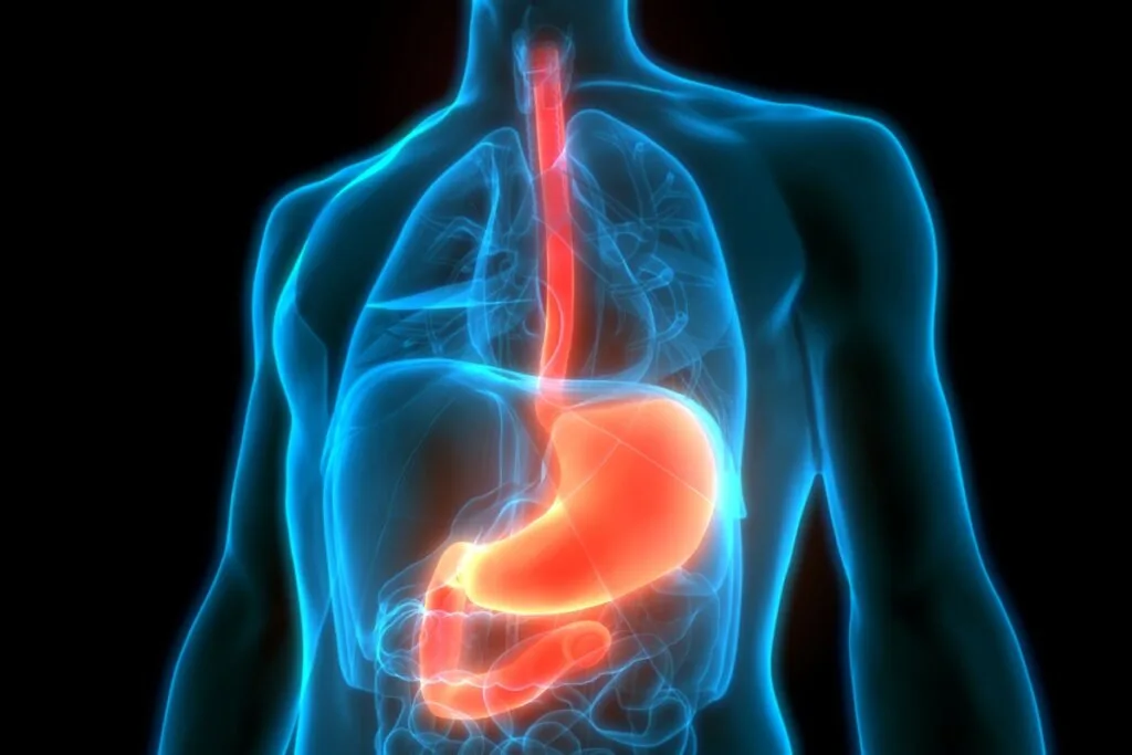 5 mitos sobre a endoscopia para perder o medo do exame 