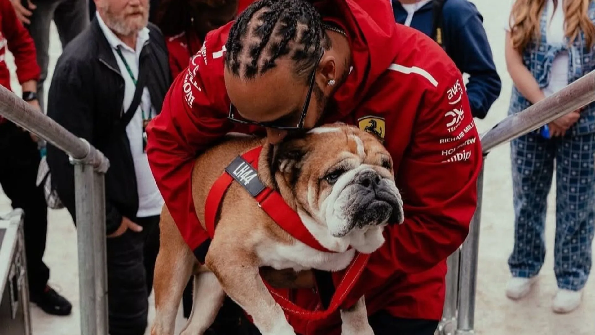Lewis Hamilton lamenta morte de cachorro: “Um amigo verdadeiro”