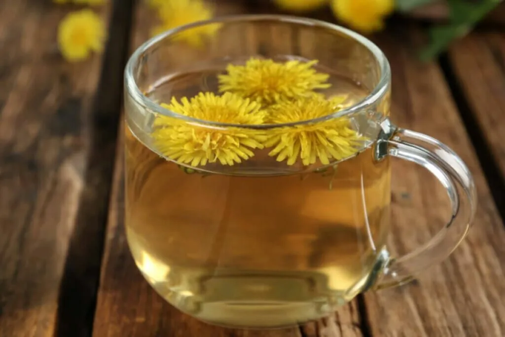 8 benefícios da planta dente-de-leão para a saúde e como usá-la