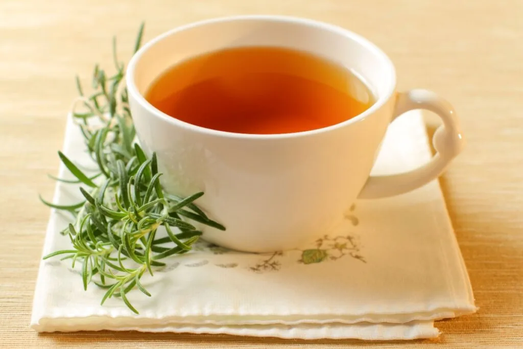 6 receitas de chá de losna e seus benefícios para a saúde