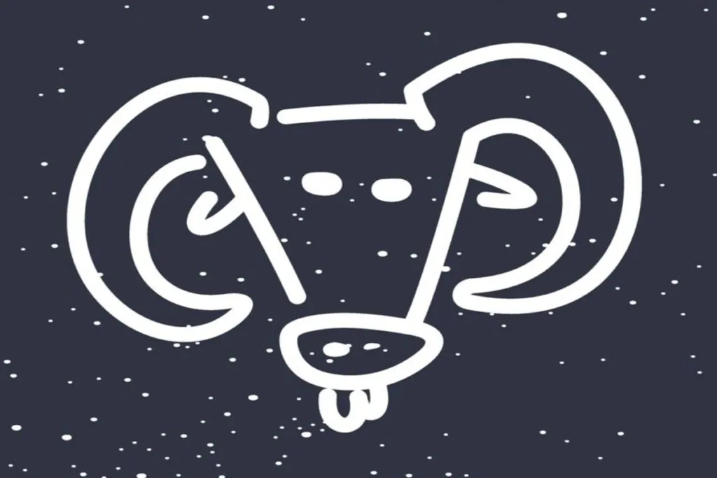 Baralho cigano: vejas as previsões de janeiro de 2026 para os 12 signos