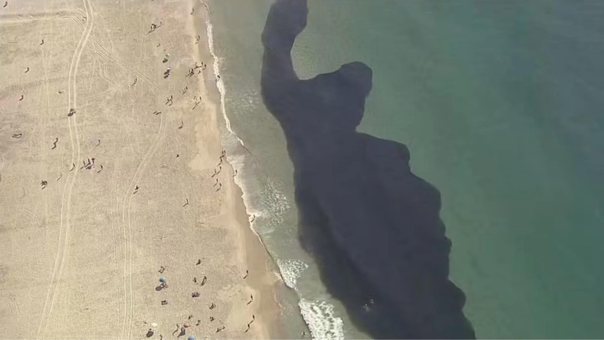 Banhistas nadam em meio a cardumes na Praia do Leme, no RJ