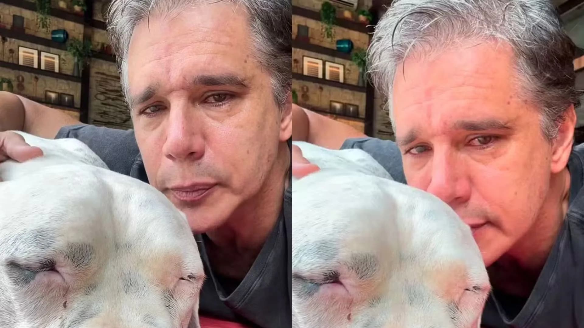 Márcio Garcia lamenta a morte de seu cachorro após luta contra o câncer