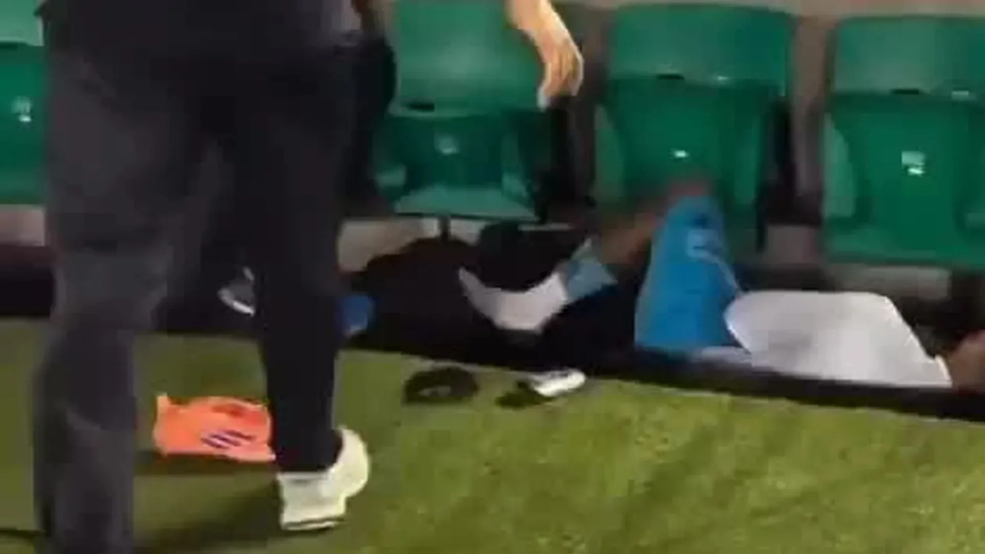 Torcedor invade o campo do Santos e derruba Zé Ivaldo