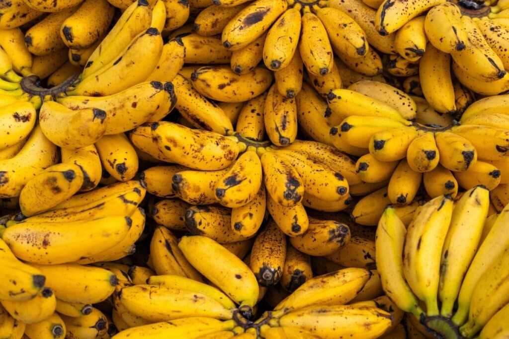 Tipos de banana: conheça 5 variedades e como usá-las em receitas doces e salgadas