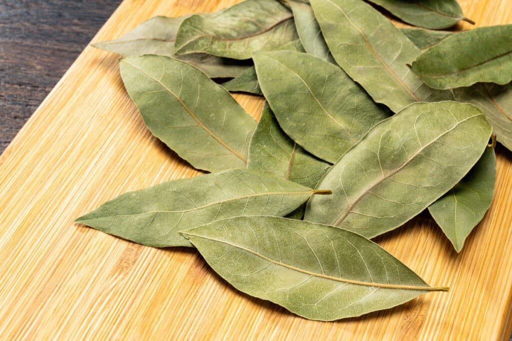 3 simpatias com louro para fazer o dinheiro render mais