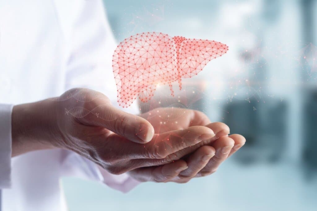 Dieta carnívora: entenda os prejuízos dela para a saúde