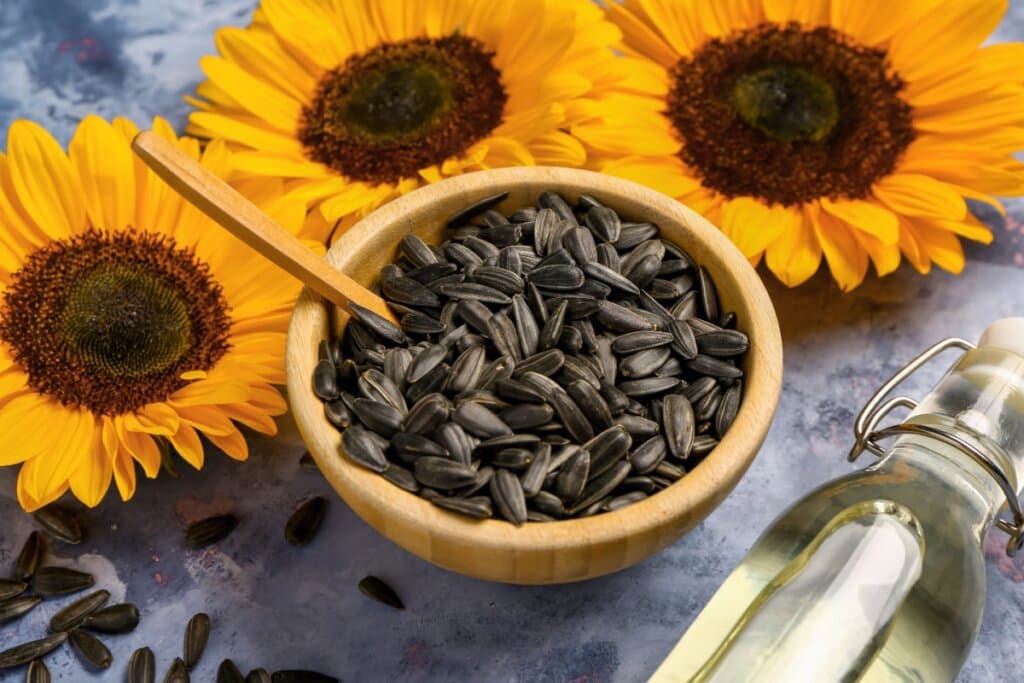 7 alimentos poderosos para turbinar a imunidade no outono