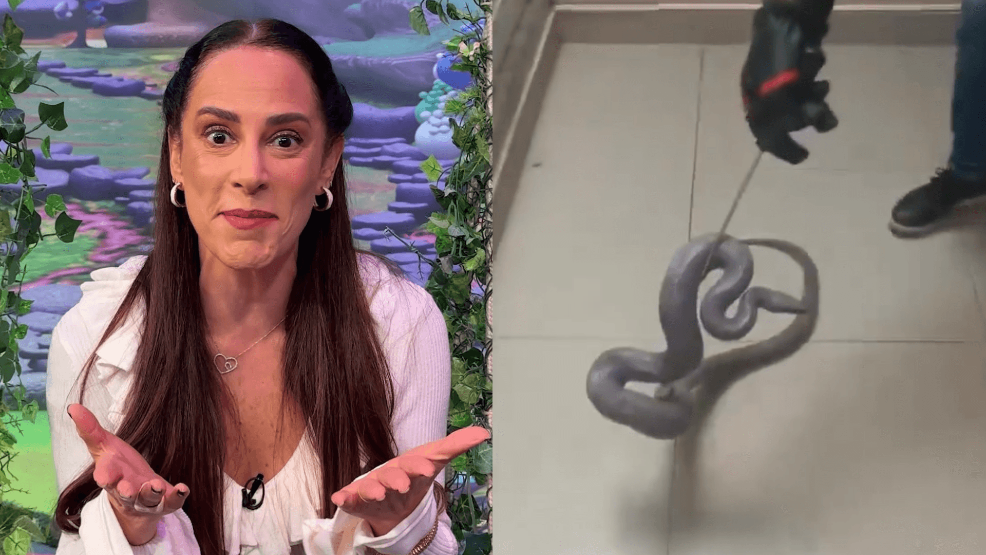 Silvia Abravanel encontra jiboia de estimação em ralo de banheiro após cinco meses desaparecida