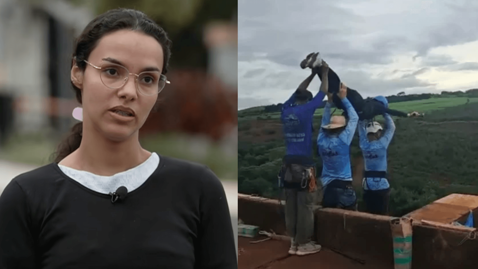 Enfermeira relata tentativa de salvar jovem após salto em ponte