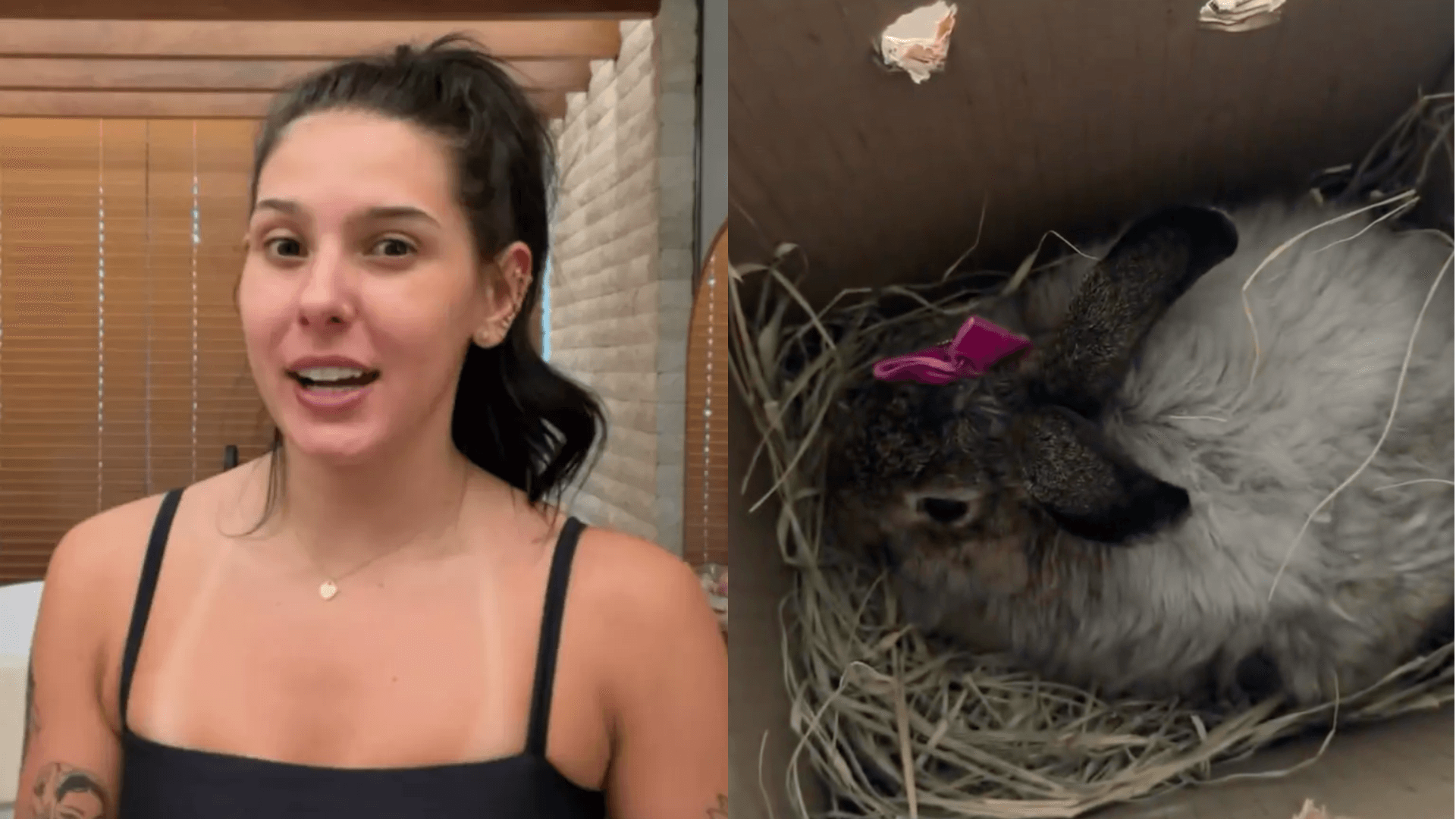 Ana Castela ganha coelho de presente de fãs e fica sem reação