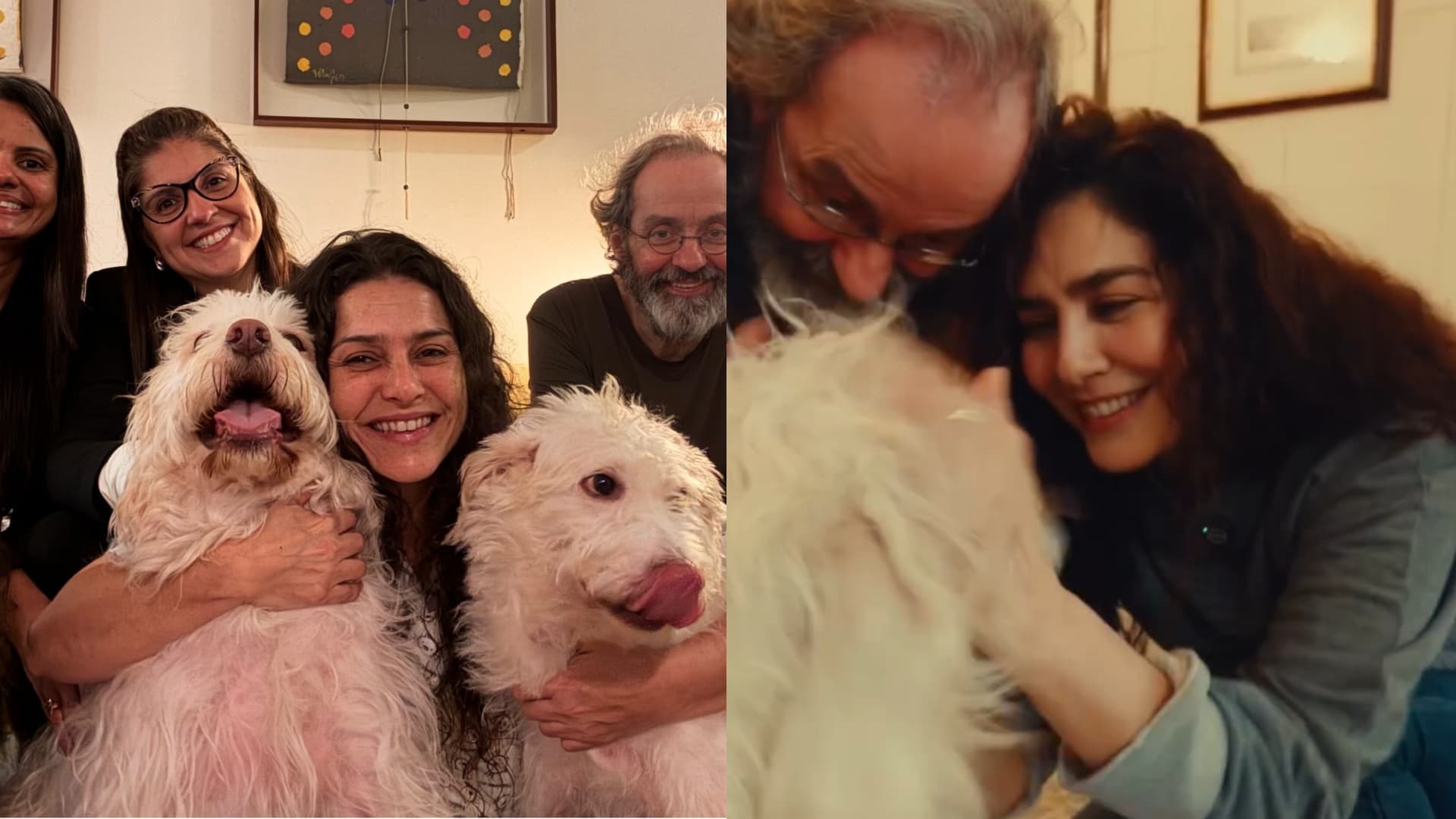 Letícia Sabatella comemora retorno de cachorro após decisão judicial: “Um alívio”