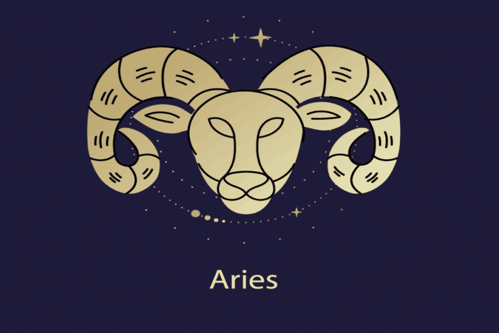 Tarot do dia: previsão para os 12 signos em 24/08/2026