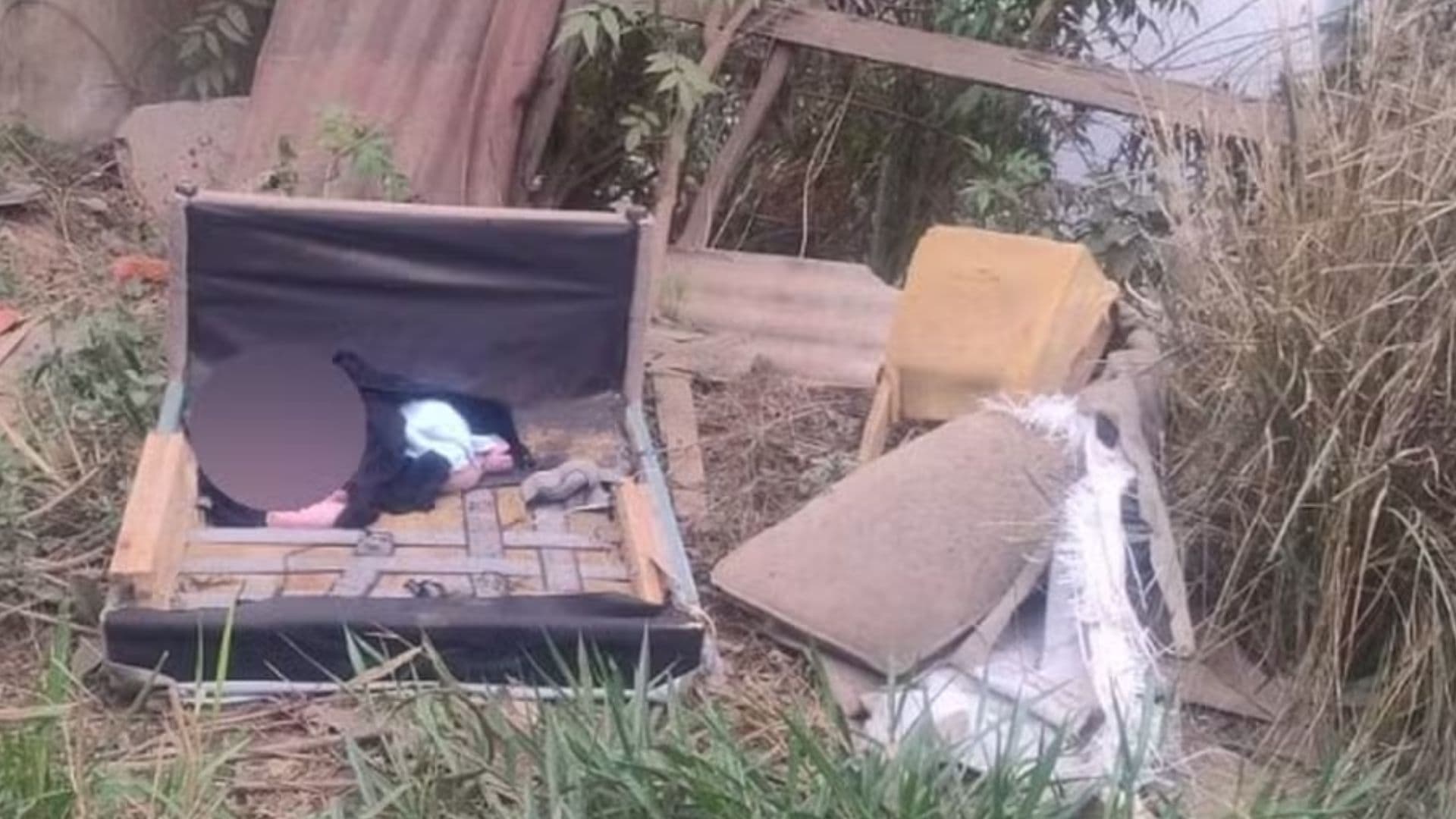 Cachorrinha encontra bebê recém-nascido abandonado em sofá velho e ajuda a salvar a vida dele