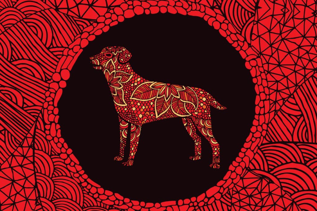 Signo do Cachorro no Horóscopo Chinês: conheça a personalidade e as principais características