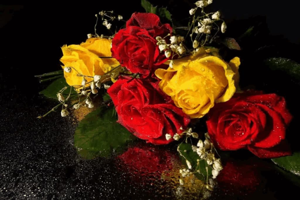 Dia de Nossa Senhora Aparecida: conheça flores para homenagear a santa