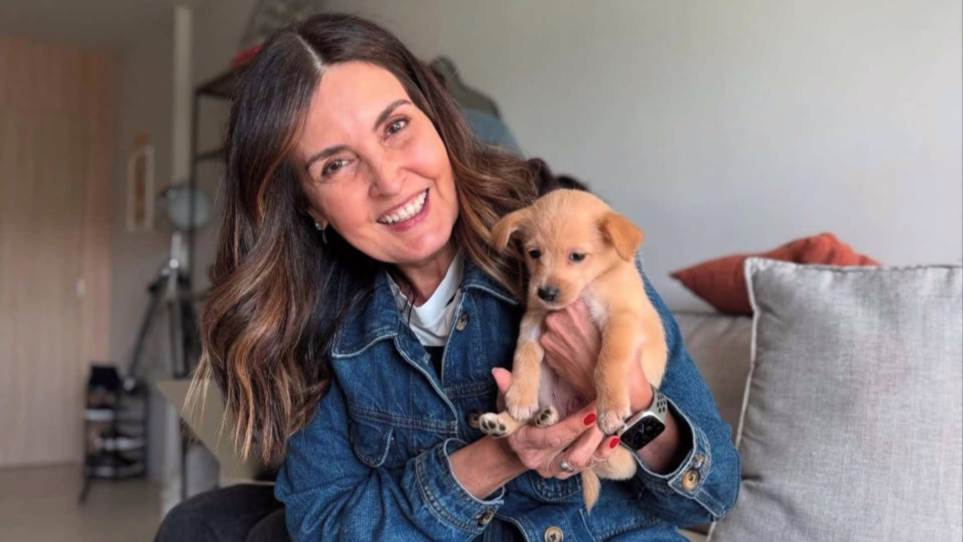 Beatriz Bonemer adota cachorro e Fátima e Bonner se derretem nas redes