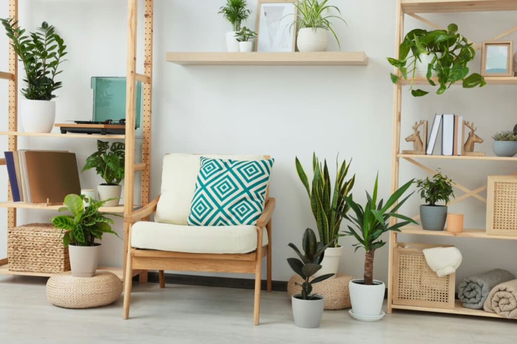 3 dicas para usar plantas na decoração da casa