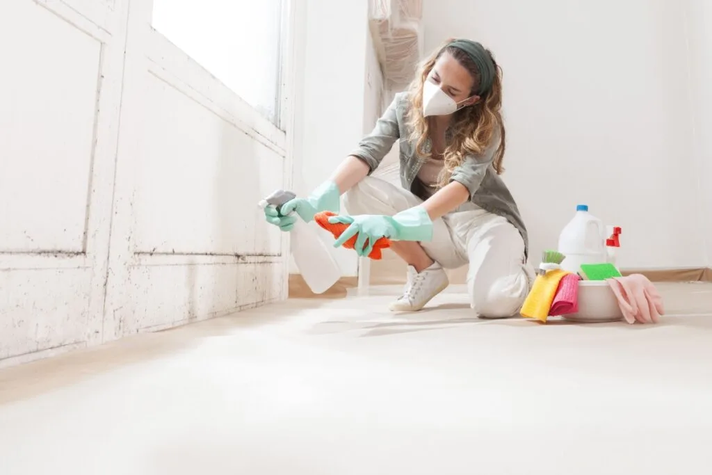 Veja como identificar e evitar o mofo durante o inverno