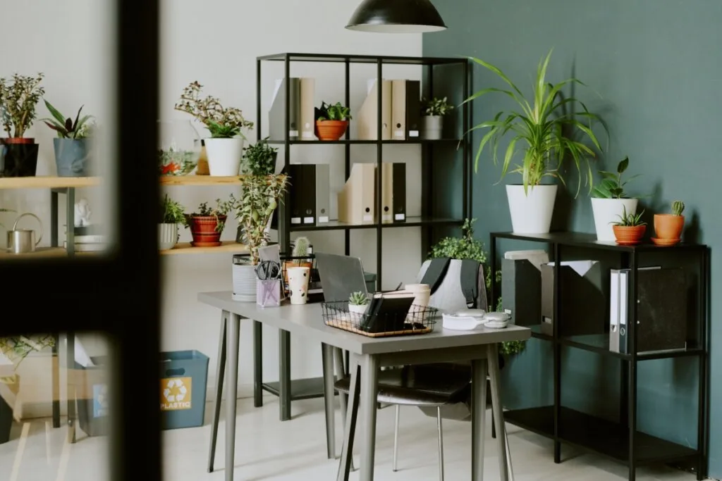 Conheça as características do design biofílico