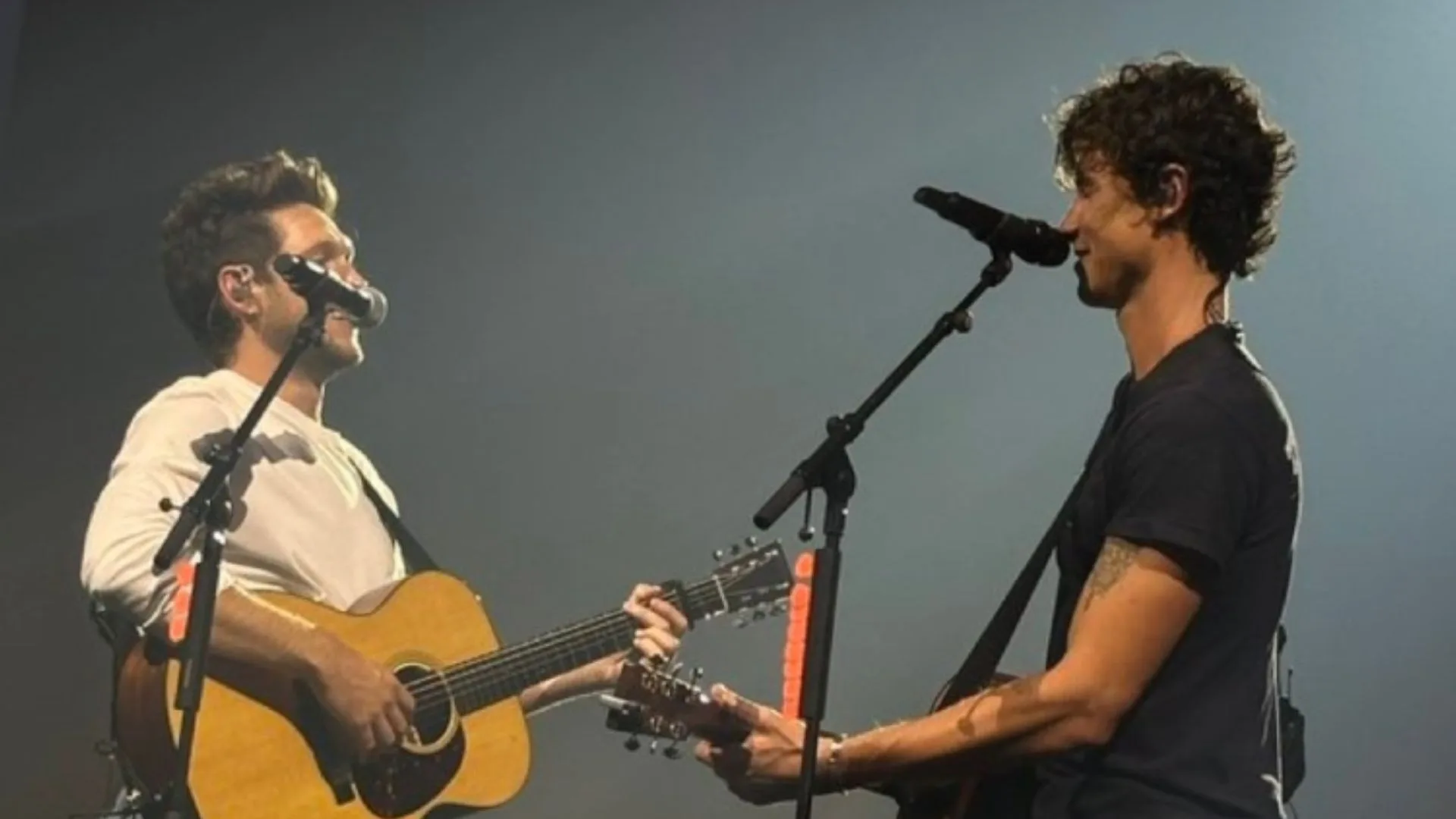 Niall Horan surpreende público ao cantar com Shawn Mendes em show