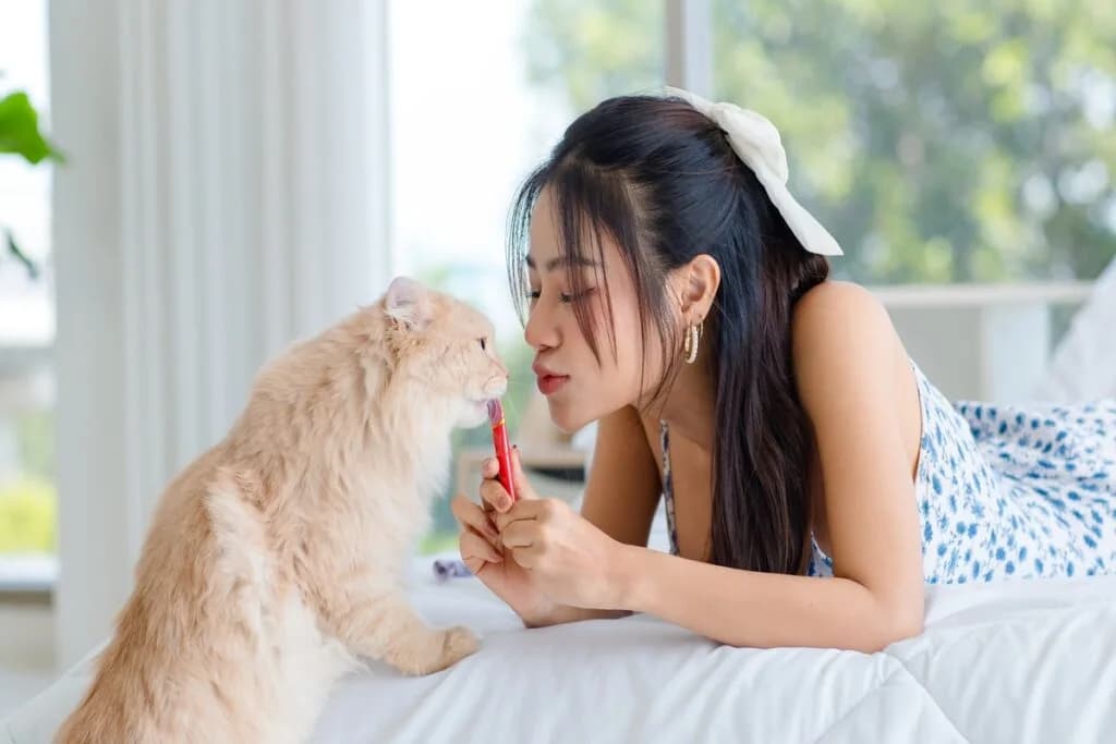 10 nomes para gatos tranquilos