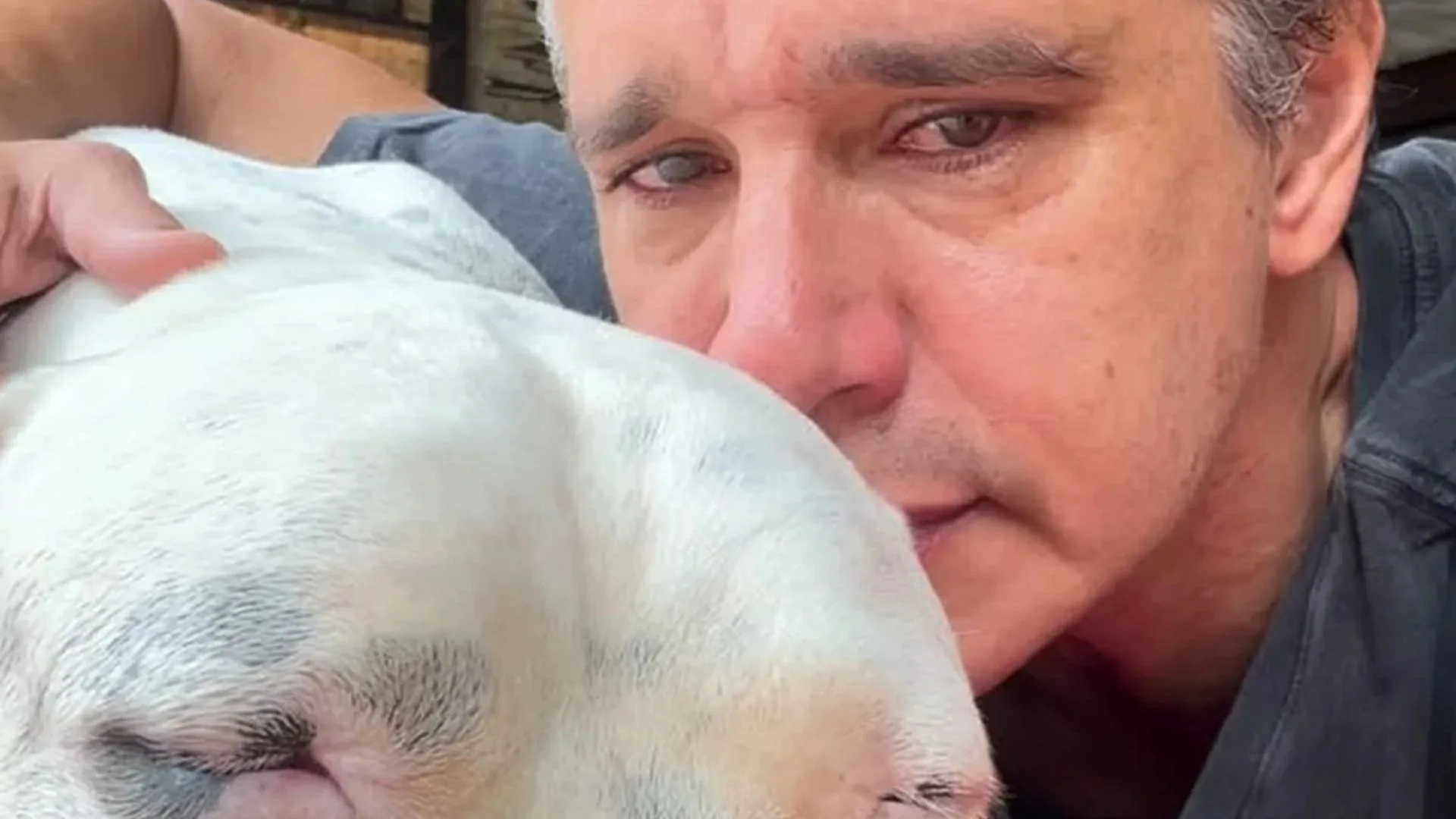 Márcio Garcia atualiza estado de saúde do cachorro diagnosticado com câncer