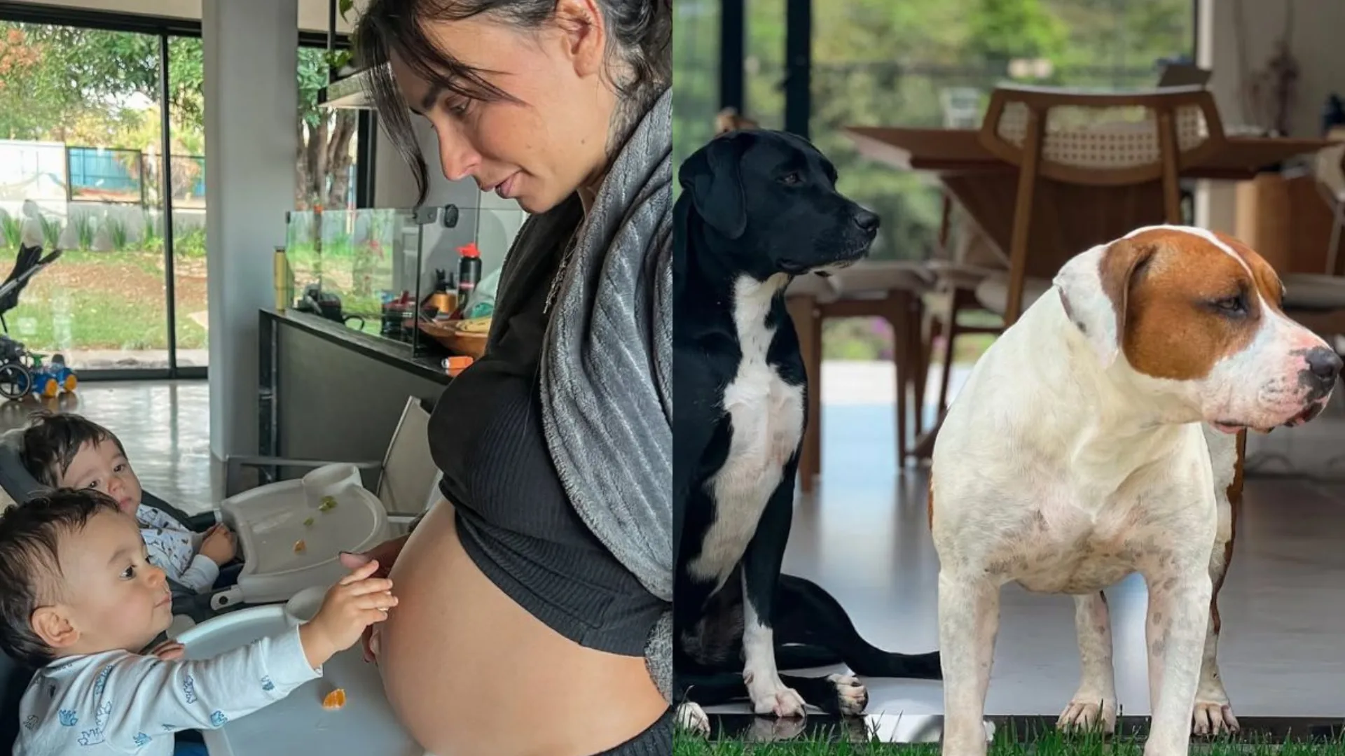 Clara Maia fala sobre seus cachorros e explica decisão de deixá-los sob cuidados de pessoa de confiança