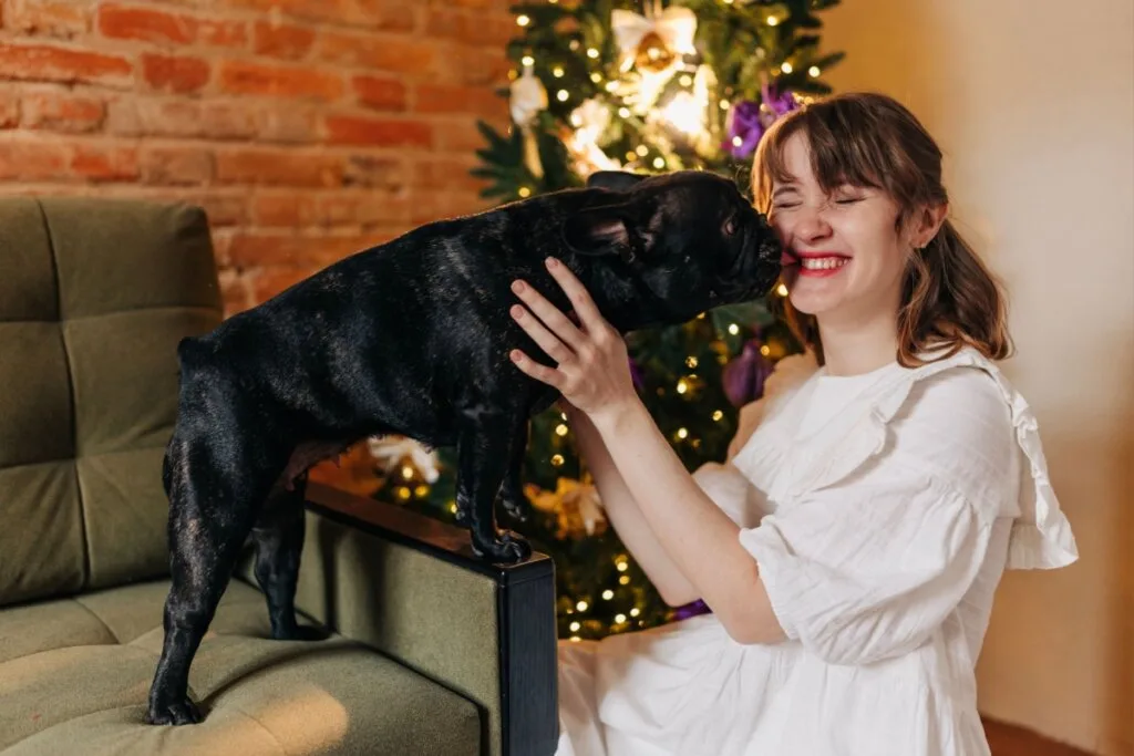 8 dicas para preparar o pet para receber visitas no Natal