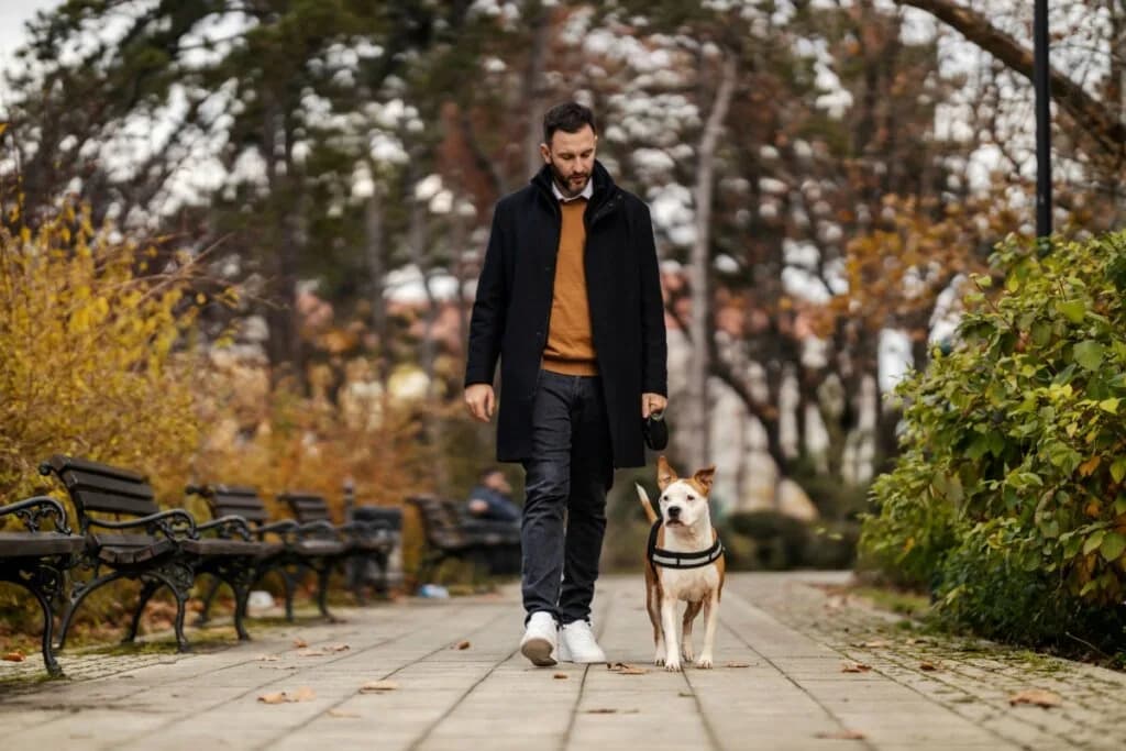 5 dicas para melhorar a comunicação com o seu cão