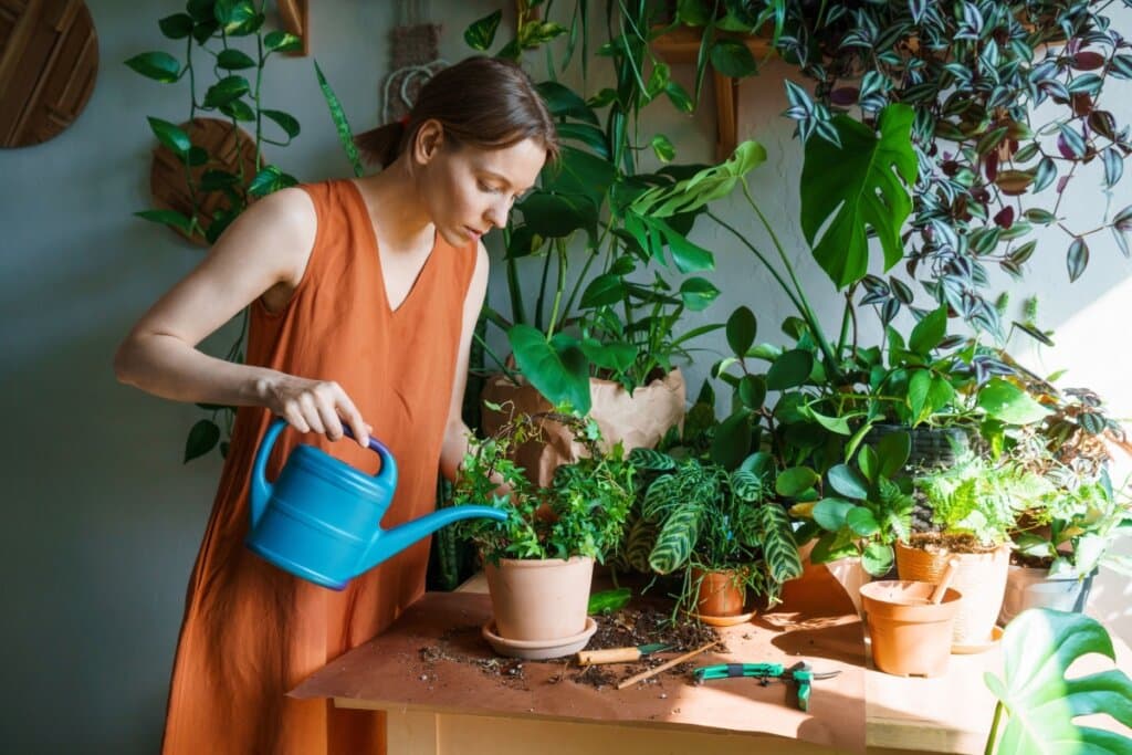 Cuidados com plantas no outono: 5 dicas que fazem a diferença