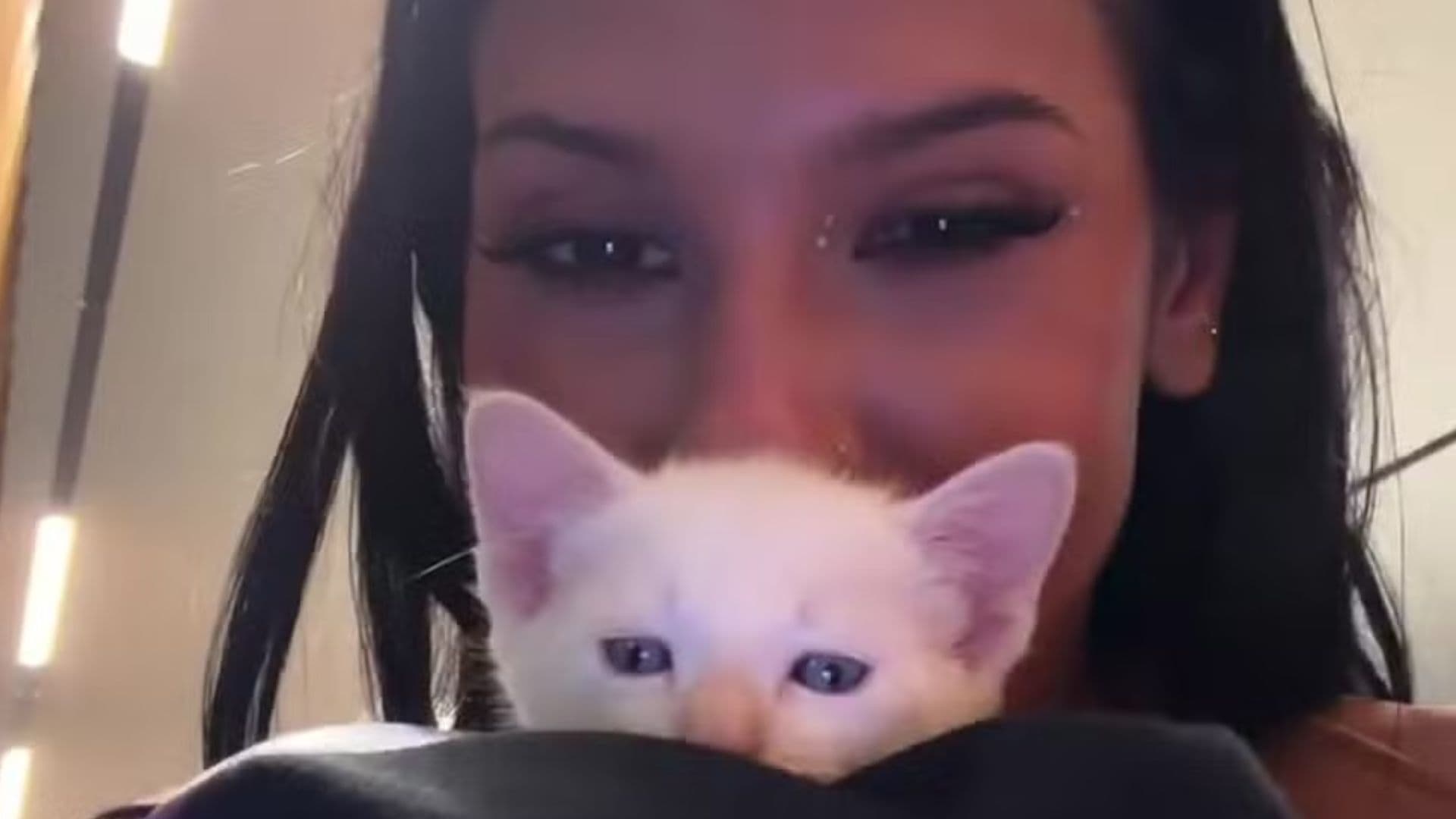 Ana Castela exibe momento de diversão com gatinho de estimação e viraliza