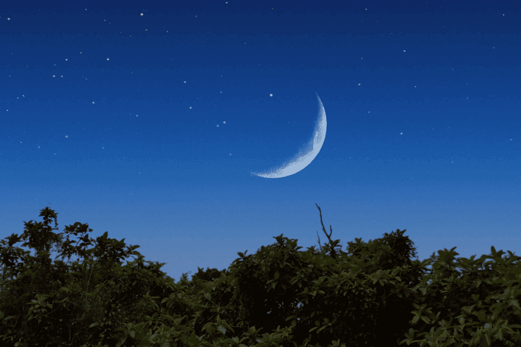 Lua hoje: veja qual é a fase lunar desta segunda-feira, 13 de julho de 2026
