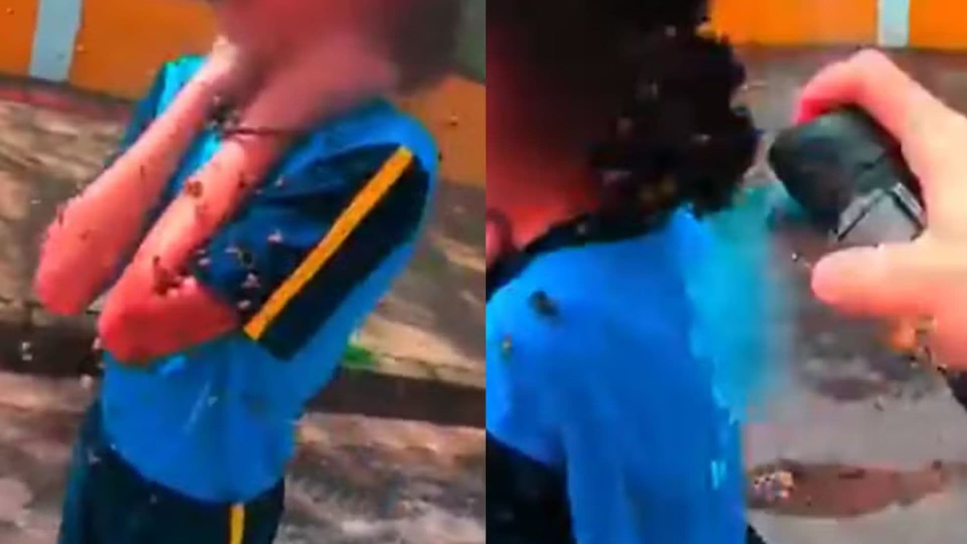 Motoboy que salvou menina de 12 anos de ataque de abelhas relembra susto: “Estava travada”