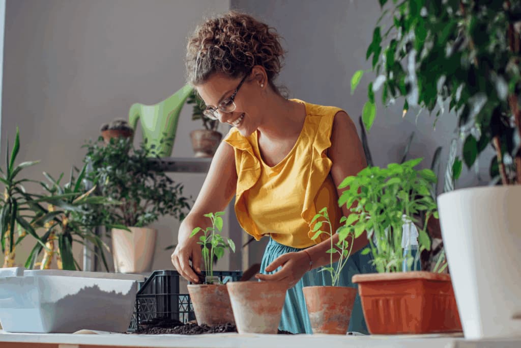 O que é o equinócio da primavera? Entenda o fenômeno e aprenda rituais simbólicos