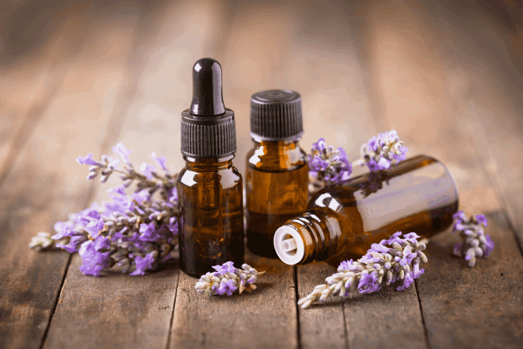 Lavanda ajuda a relaxar? Conheça 7 benefícios da planta para a saúde